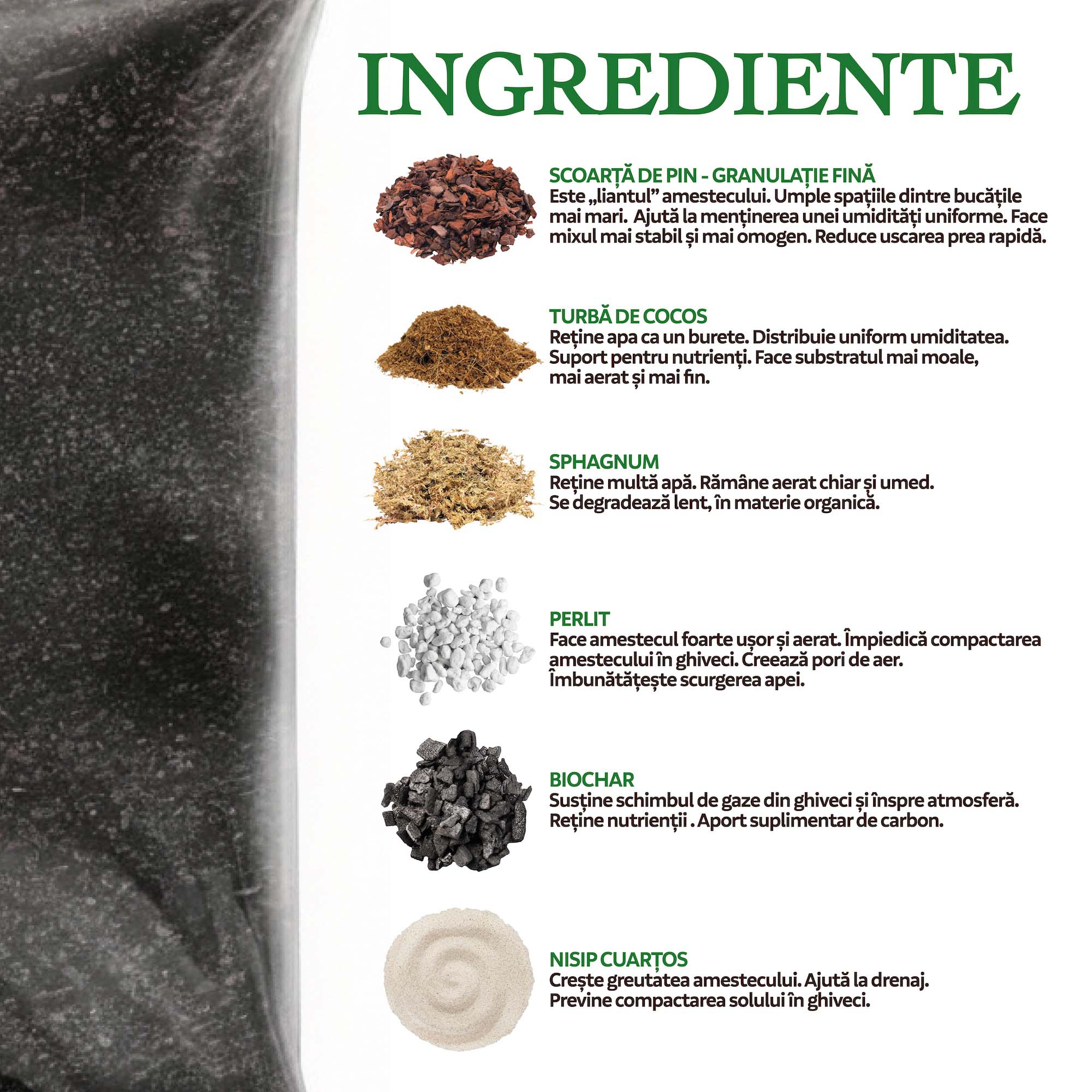 Substrat pentru Rhododendron, 6 litri - imagine 3